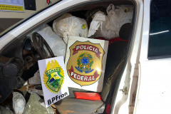 Polícia Militar apreende mais de 600 quilos de drogas em Guaíra