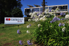 Tecnologia da Celepar impulsiona a sustentabilidade ambiental do Paraná