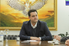 Governador 