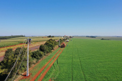 Paraná Trifásico entrega 12,5 mil km de novas redes e alcança 50% do programado
