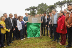 Construção Hospital Pinhais