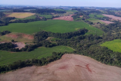 Fiscalização Sudoeste IAT
