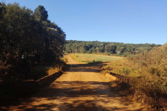 Ponte Boa Ventura de São Roque