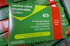 Estado recebe novas doses da vacina antirrábica humana e alerta para os cuidados com a doença 