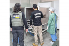 Com serviço especializado, Polícia Científica mantém equipe exclusiva para necropsia em animais