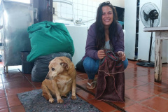 Pessoas privadas de liberdade produzem ponchos e roupas pet para destinar a moradores e cães de rua em Cascavel