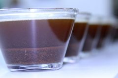 Abertas as inscrições para o prêmio Café Qualidade Paraná 2023