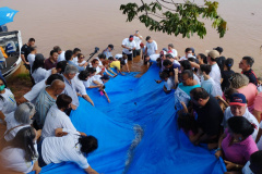 Rio Vivo IAT
