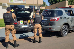 Polícia apreende mais de 157 kg de maconha em abordagem na PR-323