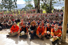 Brigadistas Voluntários