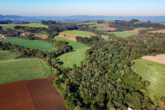 Com protagonismo ambiental, Paraná é o terceiro estado mais competitivo do Brasil