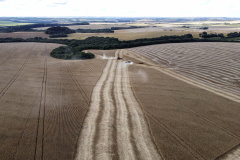 municípios com Valor Bruto da Produção Agropecuária acima de  R$ 1 bilhão