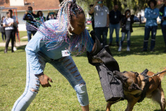 Ataque de cães é principal causa de acidente de trabalho dos leituristas da Sanepar