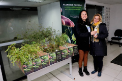 FLORESCWE