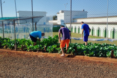Projeto Semear, da Polícia Penal do Paraná, fornece alimentação orgânica a crianças de escola municipal em Foz do Iguaçu