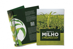 Em parceria com o Sistema Estadual de Agricultura, livreto orienta produtores sobre como eliminar milho voluntário