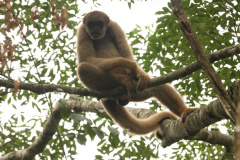 Estudantes de Castro conhecem espécies em extinção em visita ao Zoo