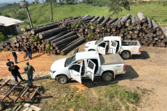  O IAT emitiu 154 Autos de Infração Ambiental (AIA) em sete municípios do Vale do Ribeira