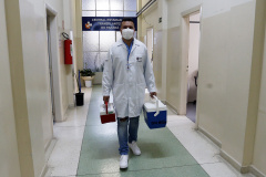 TRANSPLANTE