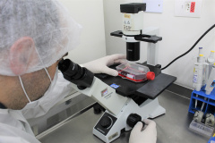 China passa a aceitar laudos do Tecpar para sorologia antirrábica veterinária