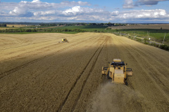 Com VBP agrícola de R$ 84,1 bilhões, Paraná lidera produção nacional de cevada, feijão e mandioca 