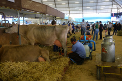 AGRI