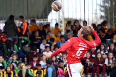 Punhobol 