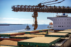 Portos do Paraná estima triplicar movimentação de grãos de soja para exportação