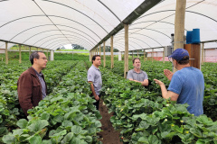 Projeto de pesquisa vai testar tecnologia para diminuir desperdício de água na irrigação