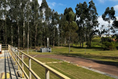 SANEPAR SELO OURO