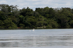 Reunião para elaboração de novas ações voltadas para o Rio Paraná, no Oeste do Estado.