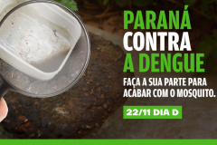 DENGUE
