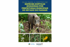 IAT GUIAS