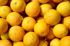 AGRICULTURA