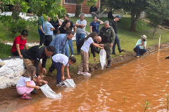 IAT SOLTURA PEIXES