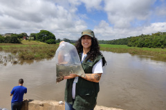 IAT SOLTTURA PEIXES