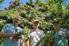 IDR PRODUÇÃO AGRÍCOLA