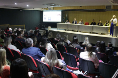 Cerimônia de entrega dos certificados "Empresa Amiga do Trabalhador" a 179 empresas que participaram dos mutirões promovidos pela SETR na capital.