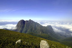 IAT PICO PARANÁ