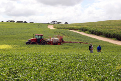 AGRICULTURA 