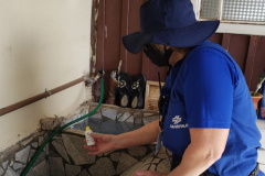 Segunda etapa de vistorias serão realizadas em Santa Terezinha de Itaipu