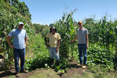 Produção rural e agroindústria transformam vida de família no litoral