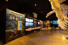 MUSEU DO SANEAMENTO