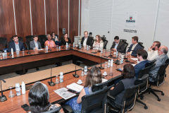 SEMIPI COMITÊ ENFRENTAMENTO VIOLENCIA CONTRA MULHERES