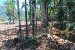 IAT DESMATAMENTO LITORAL