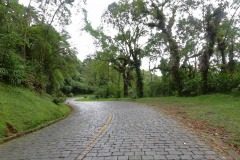 DER ESTRADA GRACIOSA