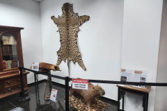 Polícia Científica leva exposição de Crimes Ambientais para o litoral