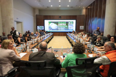 REUNIÃO DENGUE