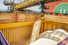 EXPORTAÇÃO AÇÚCAR