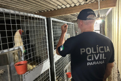 PCPR deflagra operação contra organização ligada ao tráfico de animais silvestres em todo país